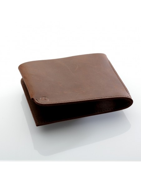 ZIP Sleeve iPad 2/3/4 Leder Earth