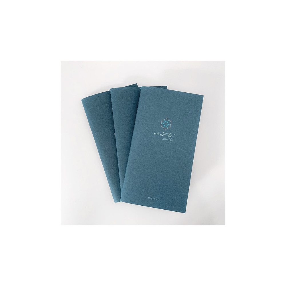 The Daily Journal - set of 3